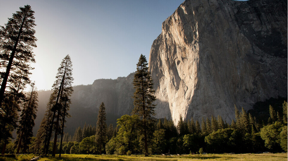 A mountain overlooking a forest (1)