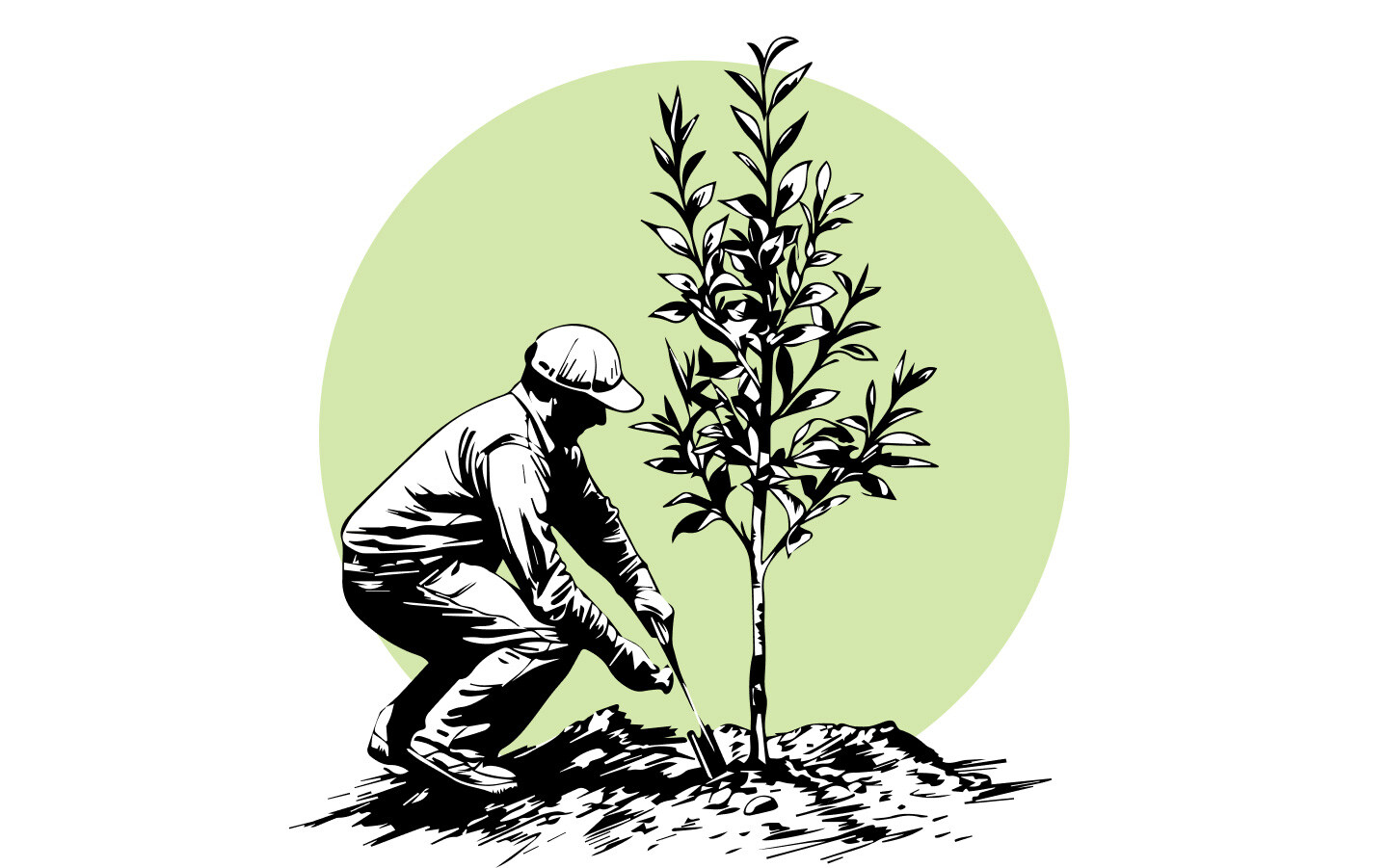 A person planting a tree