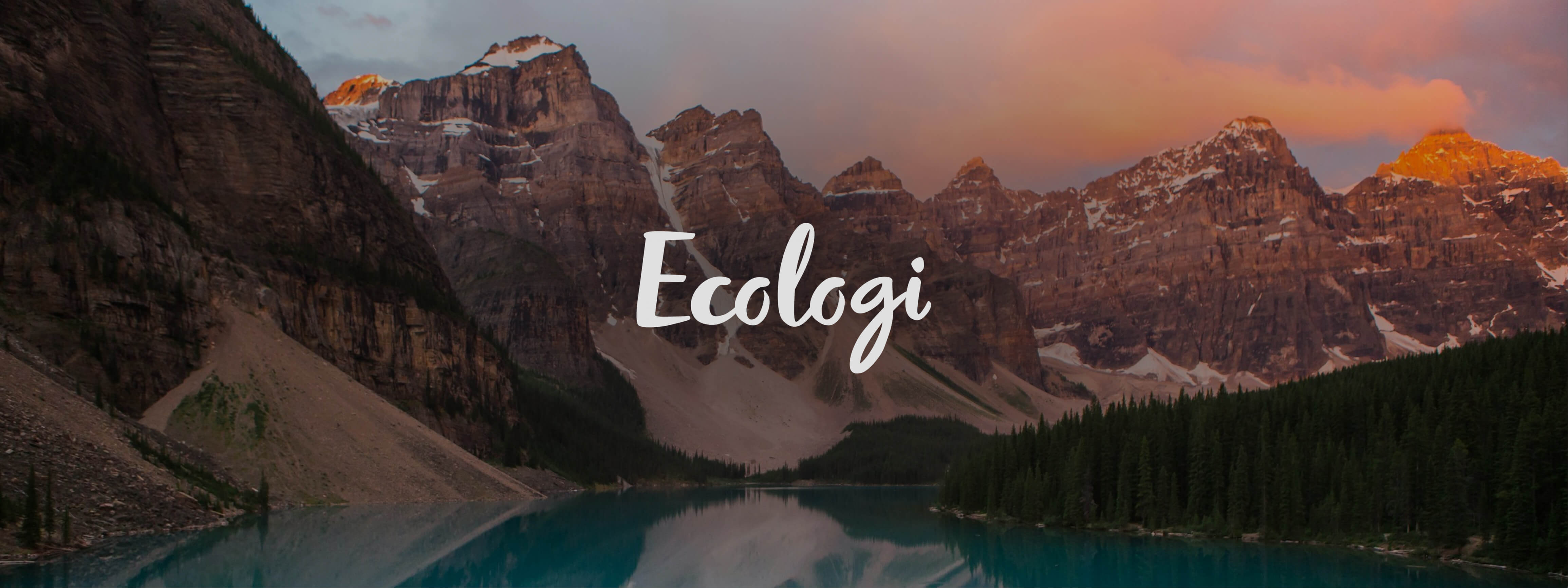 Ecologi hero banner (1)